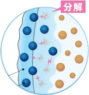 ホワイトニングの薬剤を塗布